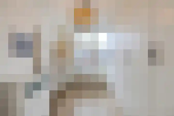 Van Kinschotstraat 1 Oosterhout thumbnail 15