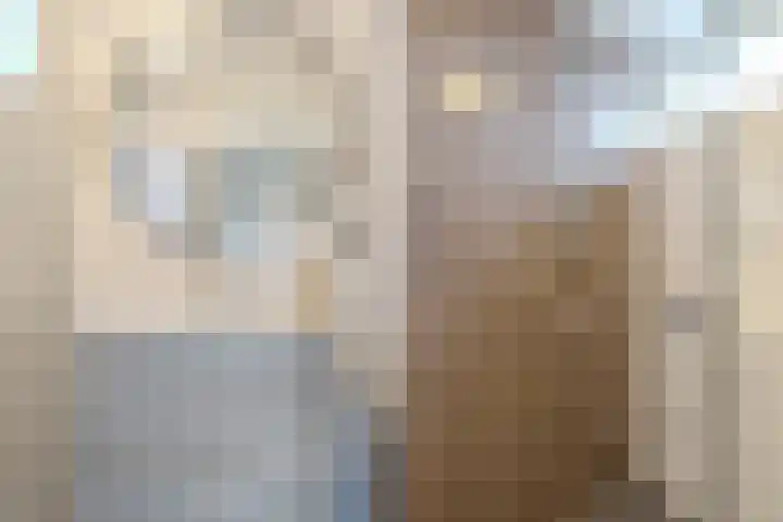 Van Kinschotstraat 1 Oosterhout thumbnail 20