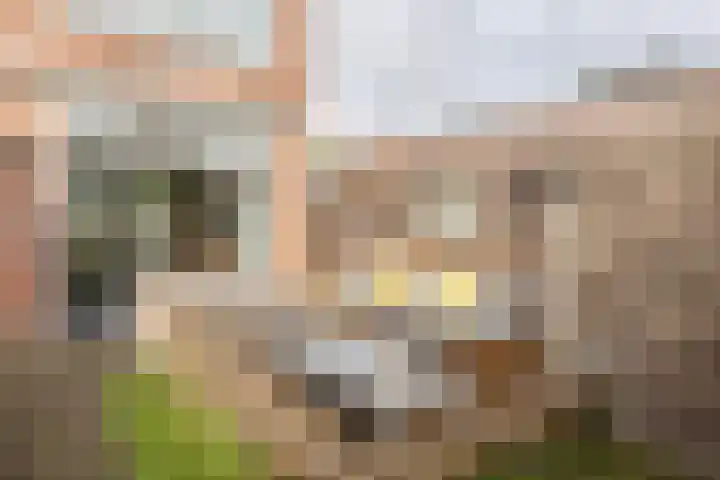 Van Kinschotstraat 1 Oosterhout thumbnail 26