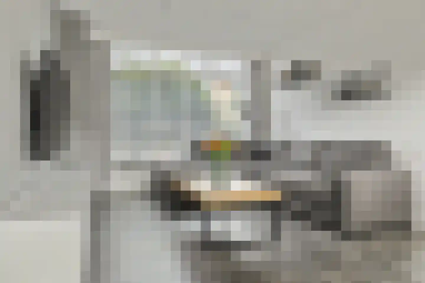 Van Kinschotstraat 21 Oosterhout thumbnail 11