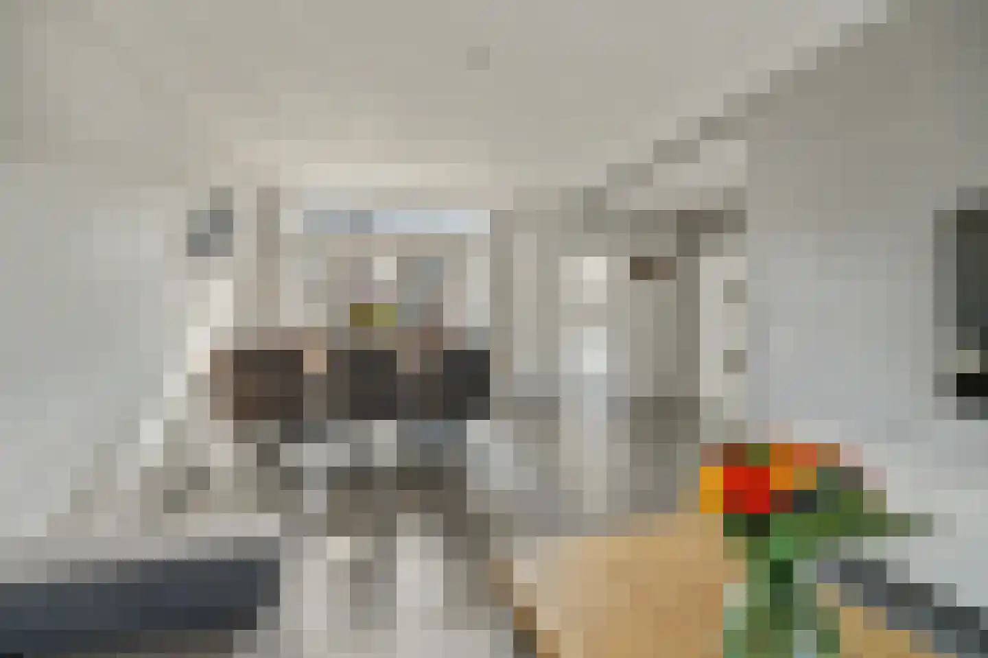 Van Kinschotstraat 21 Oosterhout thumbnail 12
