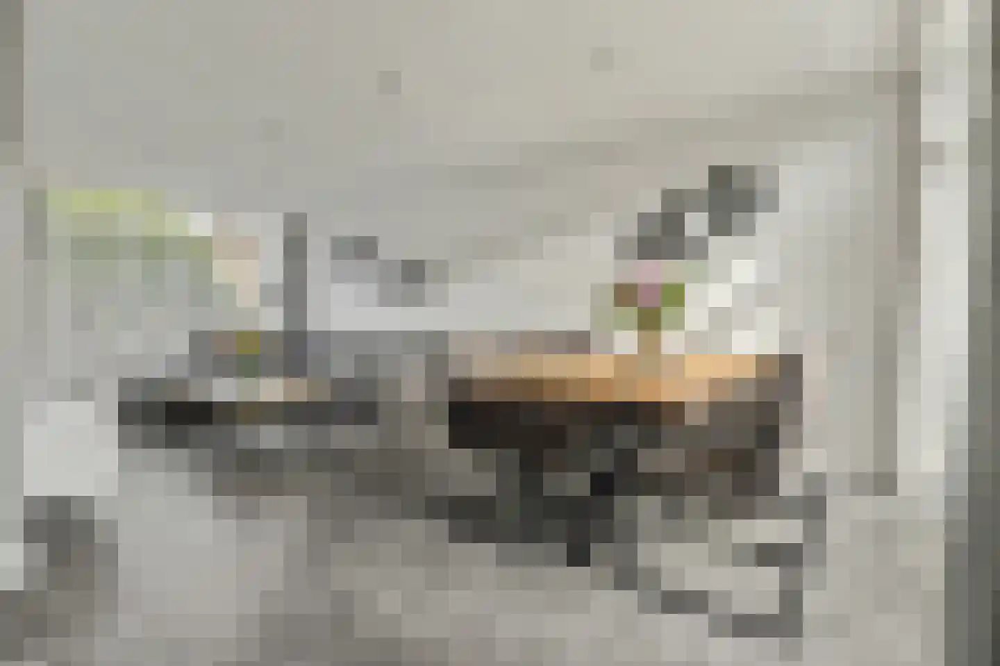 Van Kinschotstraat 21 Oosterhout thumbnail 14