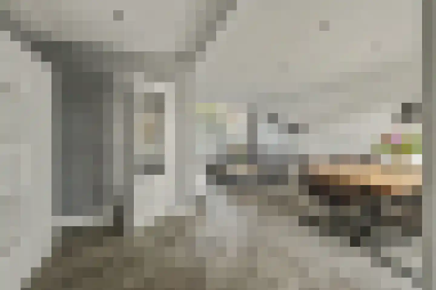 Van Kinschotstraat 21 Oosterhout thumbnail 16