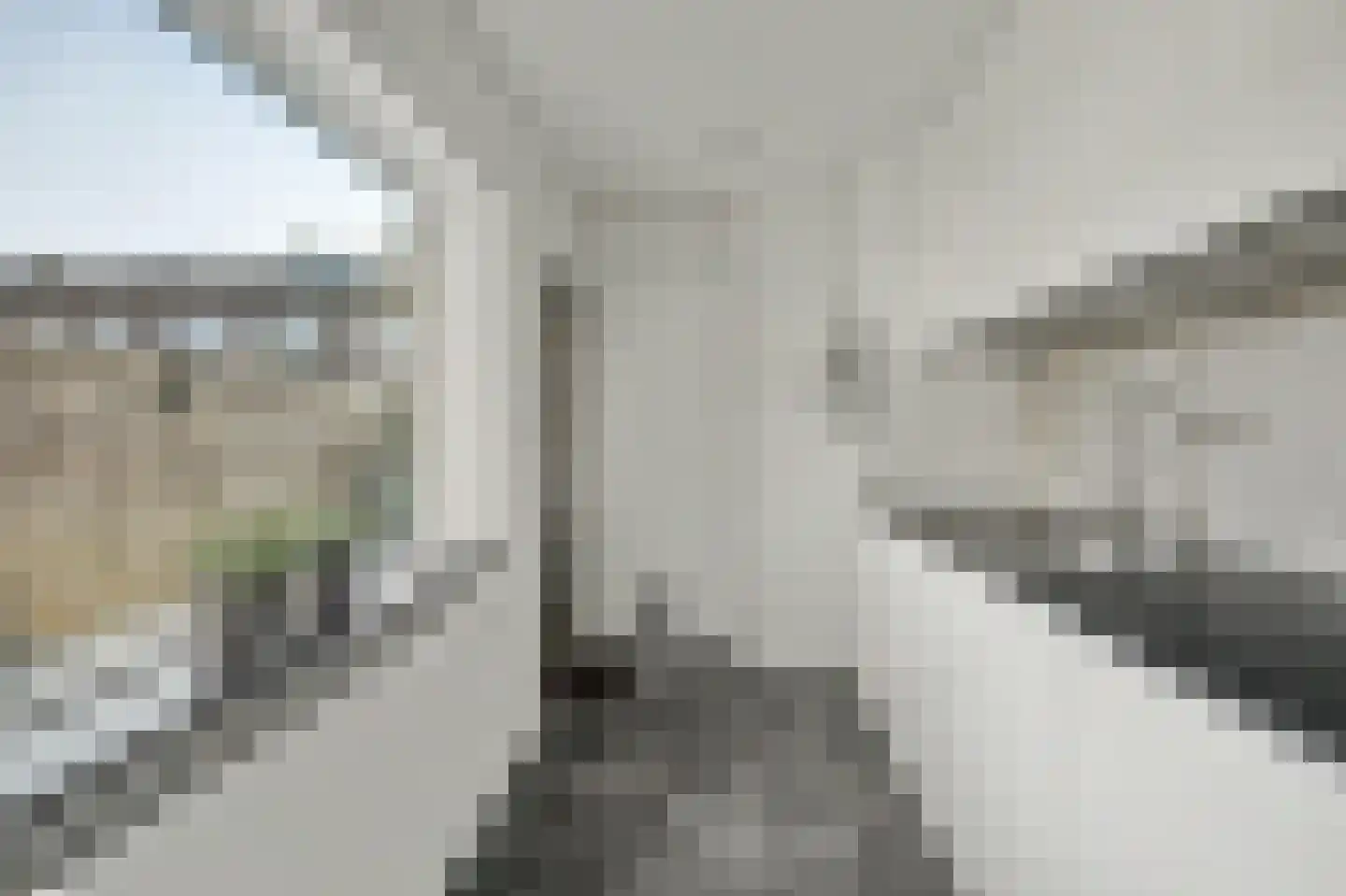 Van Kinschotstraat 21 Oosterhout thumbnail 17