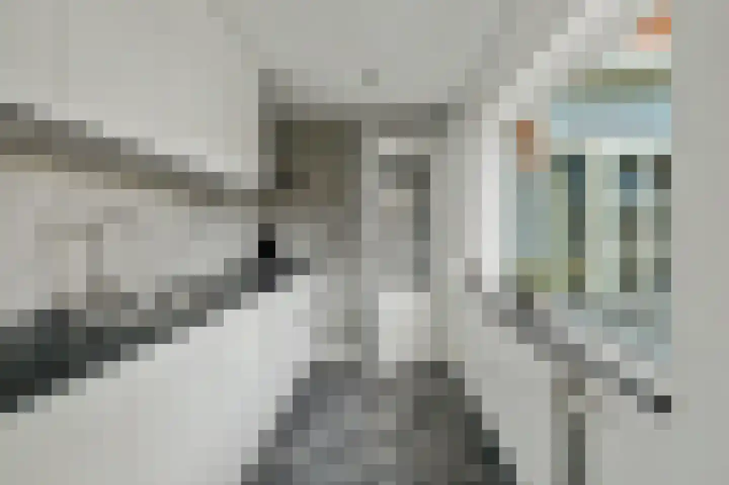 Van Kinschotstraat 21 Oosterhout thumbnail 18