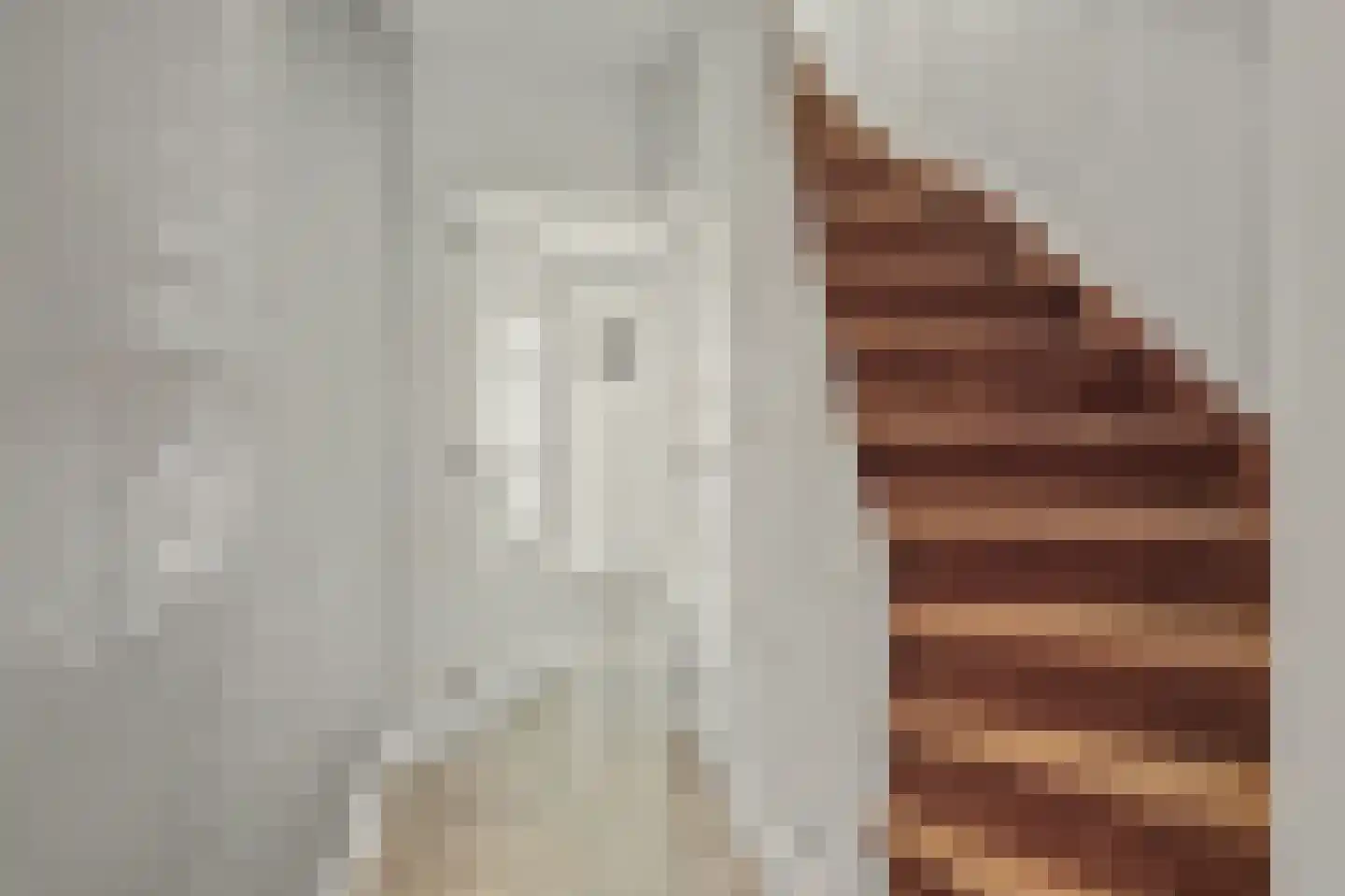 Van Kinschotstraat 21 Oosterhout thumbnail 9