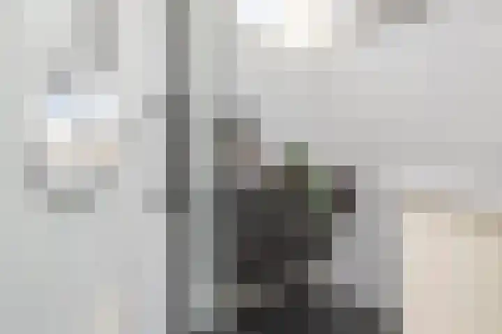 Van Kinschotstraat 27 Oosterhout thumbnail 19
