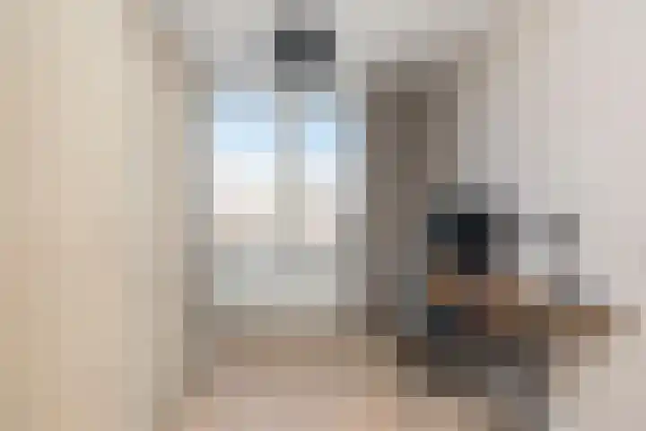 Van Kinschotstraat 27 Oosterhout thumbnail 25