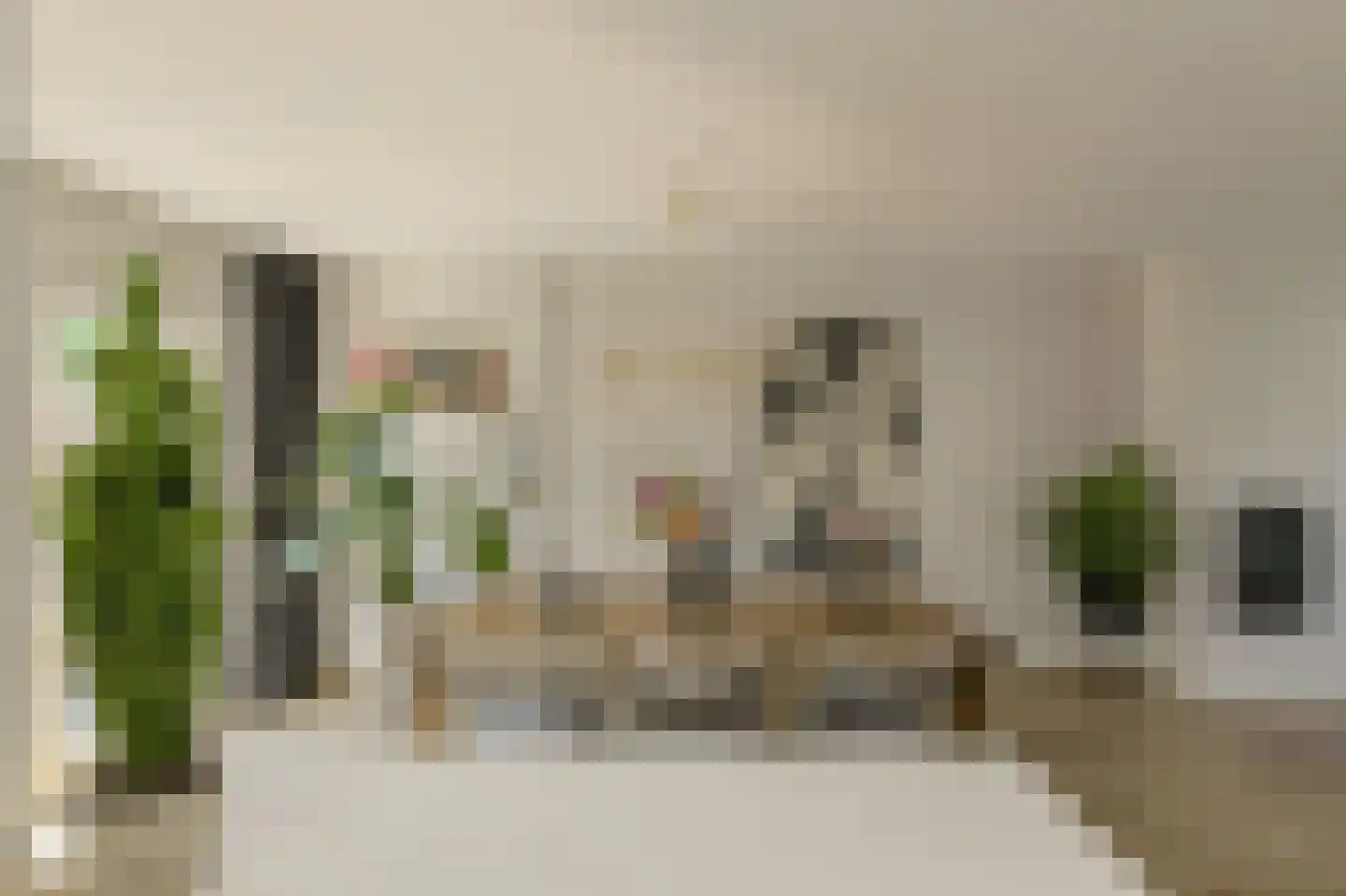 Van Kinschotstraat 7 Oosterhout thumbnail 11