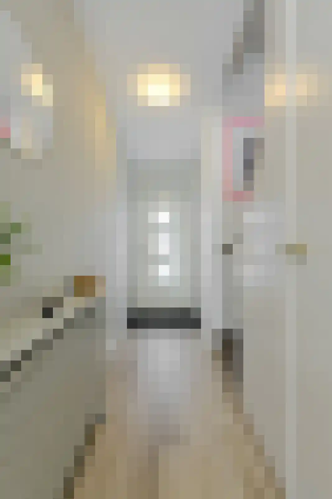 Van Kinschotstraat 7 Oosterhout thumbnail 13