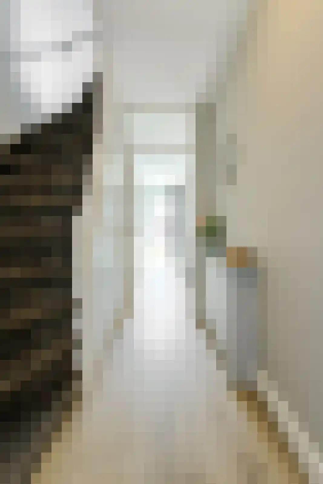 Van Kinschotstraat 7 Oosterhout thumbnail 15