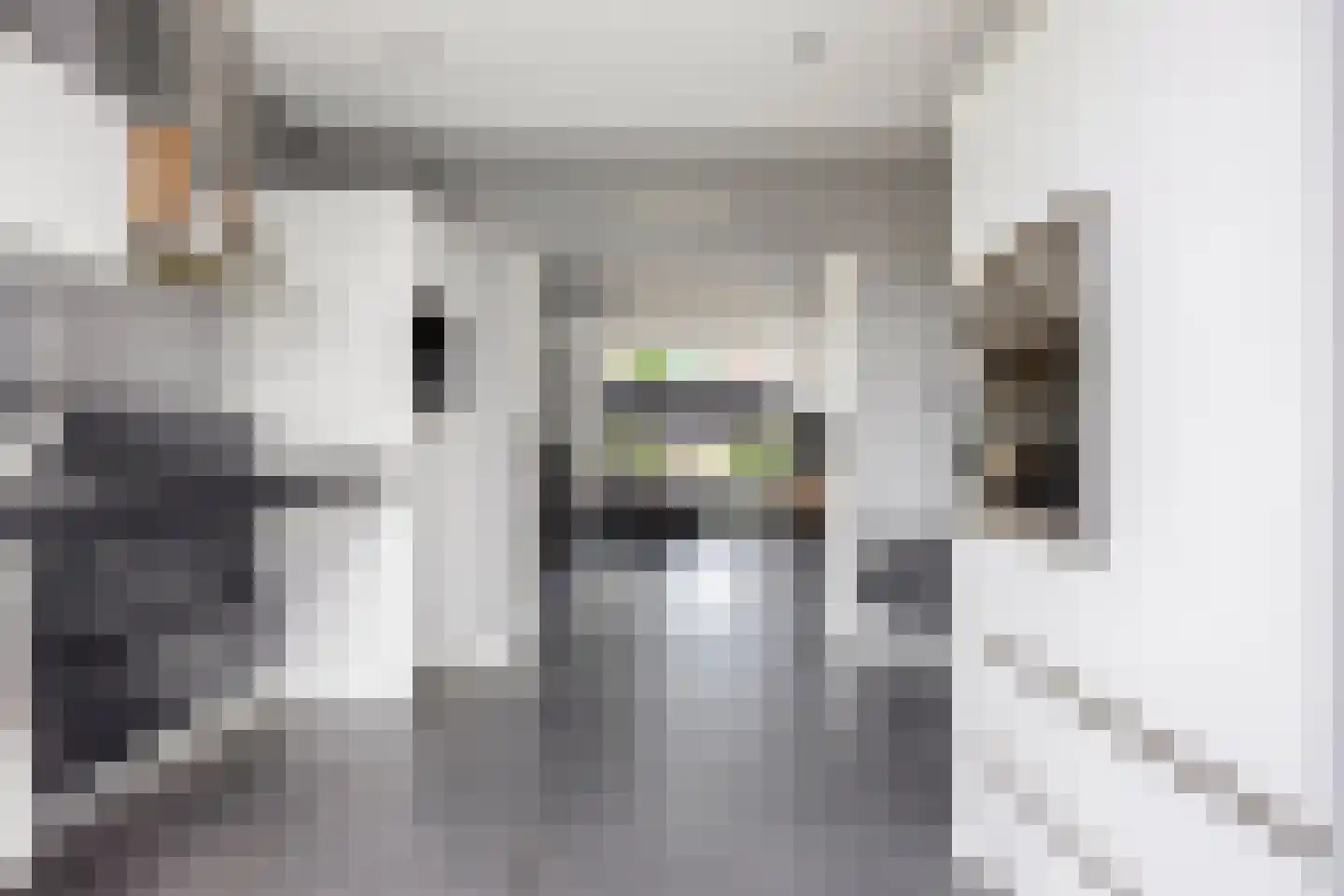 van Kleefplein 25 Huissen thumbnail 14