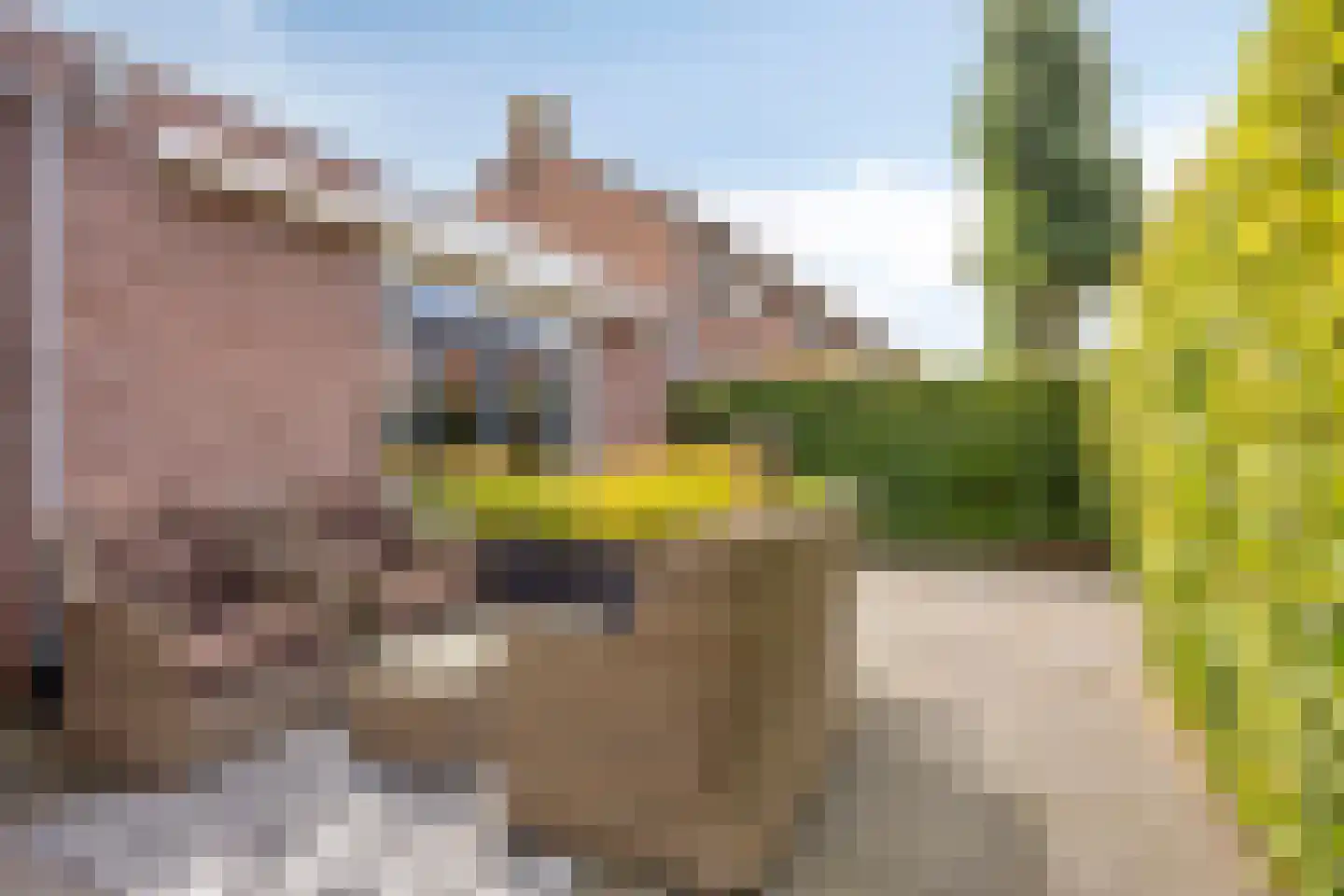 van Kleefplein 25 Huissen thumbnail 36