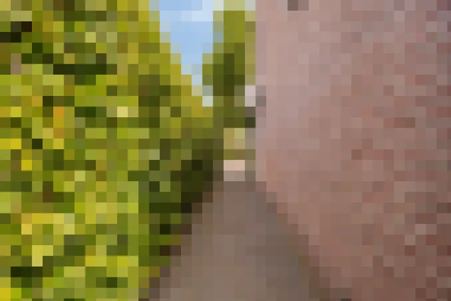 van Kleefplein 25 Huissen thumbnail 42