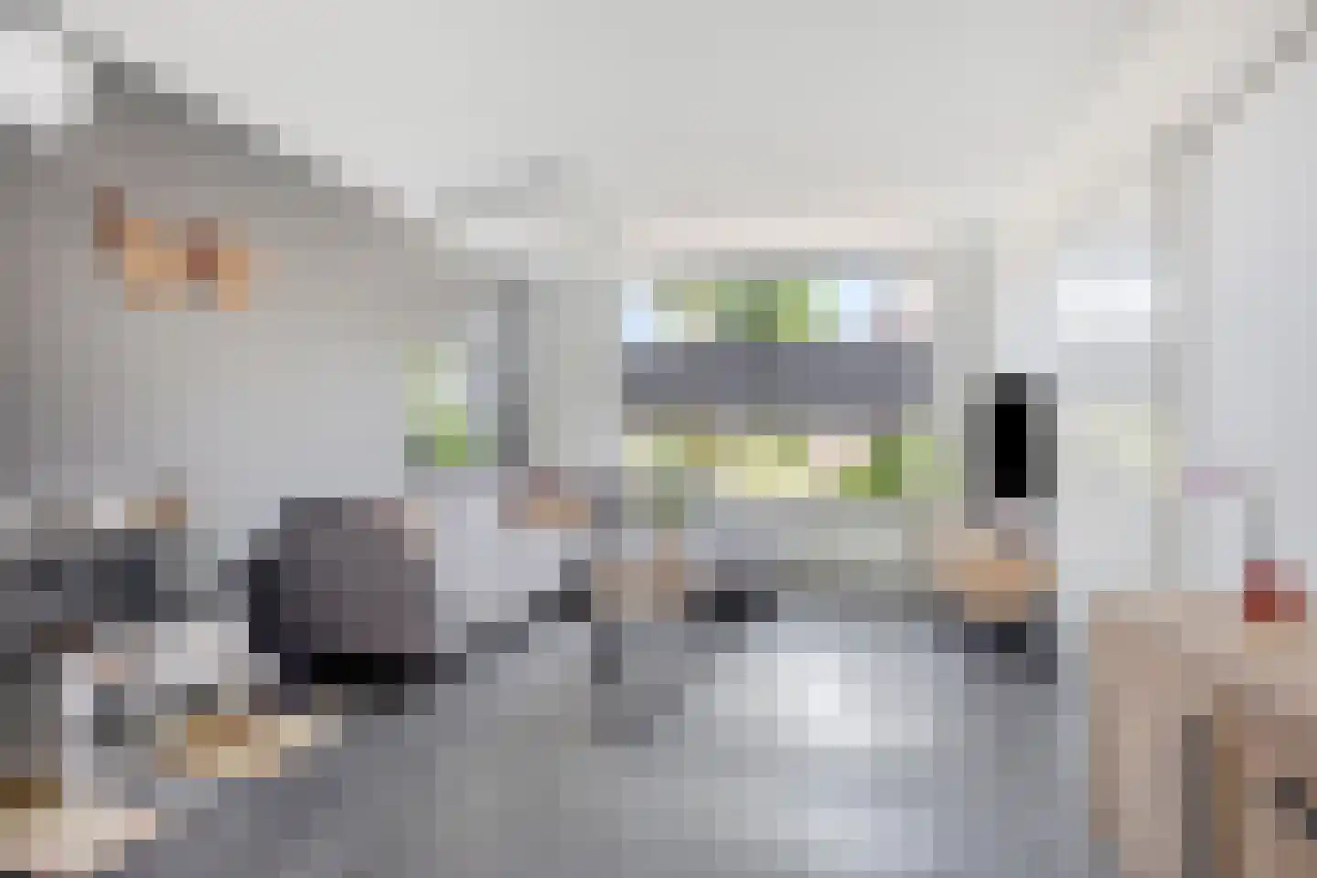 van Kleefplein 25 Huissen thumbnail 8