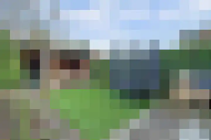 van Kleefplein 4 Huissen thumbnail 26