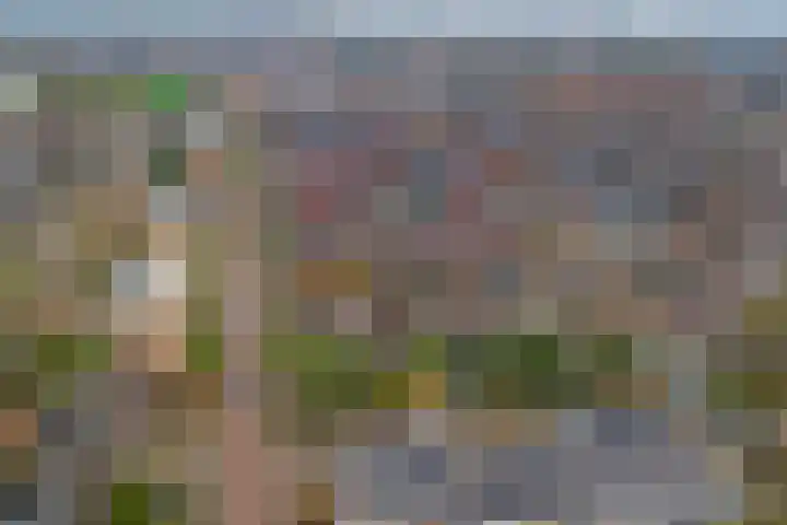 van Kleefplein 4 Huissen thumbnail 32