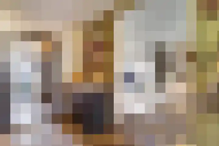 van Kleefplein 4 Huissen thumbnail 4