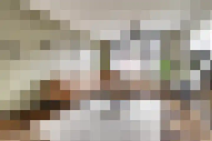van Kleefplein 4 Huissen thumbnail 5