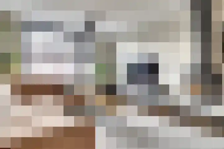 van Kleefplein 4 Huissen thumbnail 6