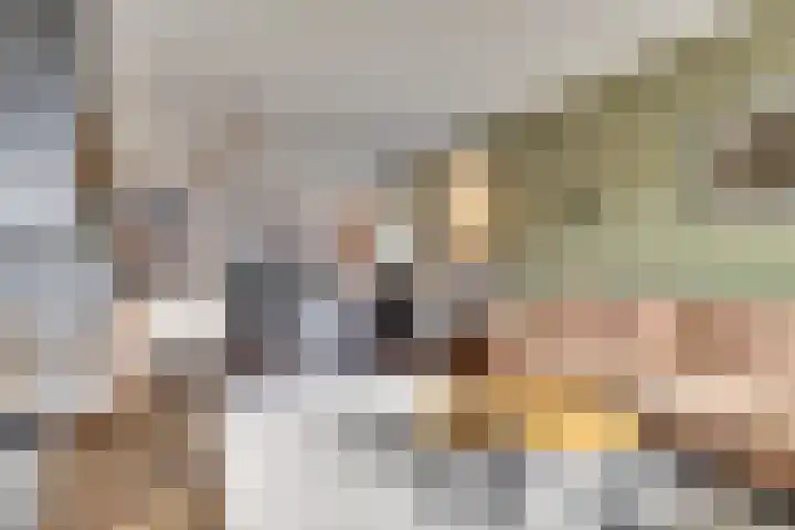 van Kleefplein 4 Huissen thumbnail 7