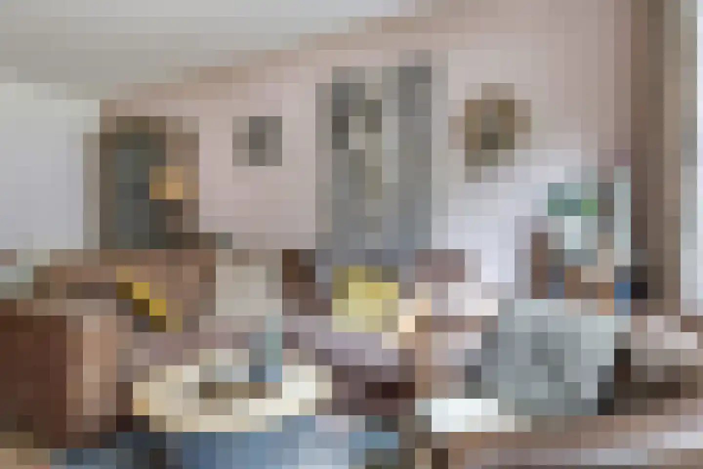 van Kleefplein 6 Huissen thumbnail 18