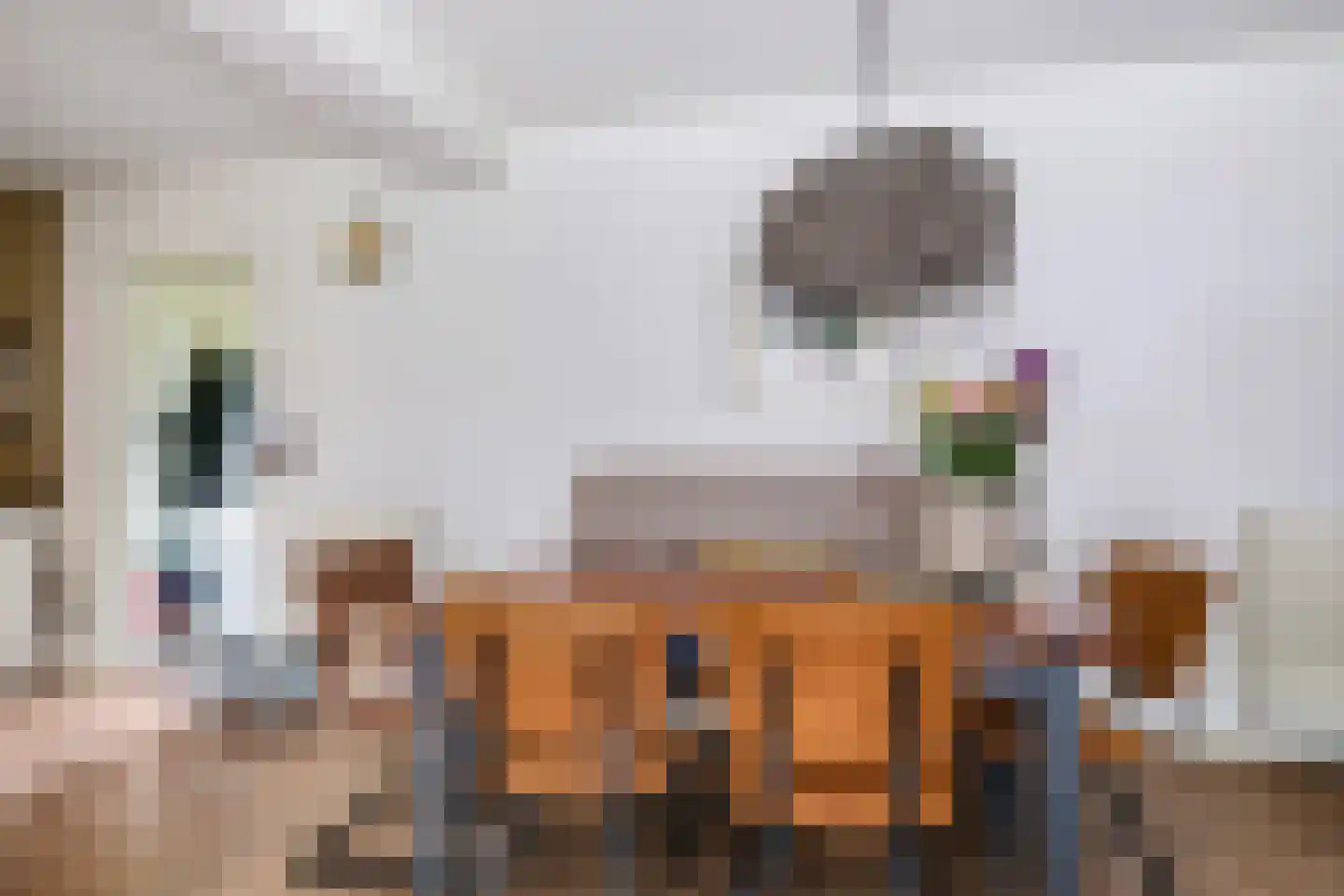 van Kleefplein 6 Huissen thumbnail 21