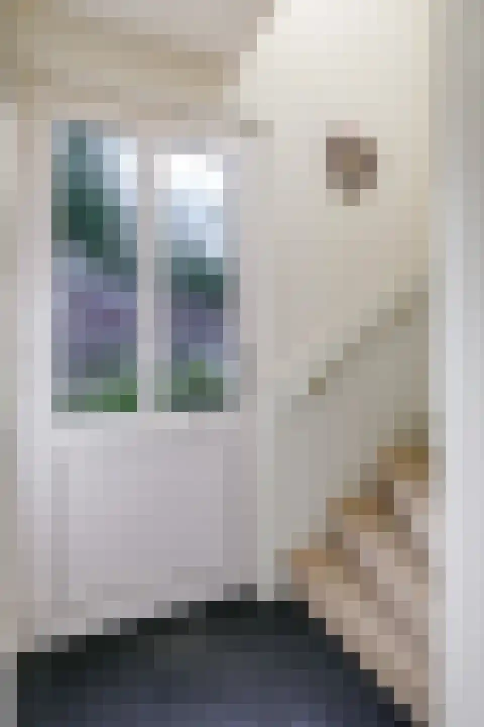van Kleefplein 6 Huissen thumbnail 36