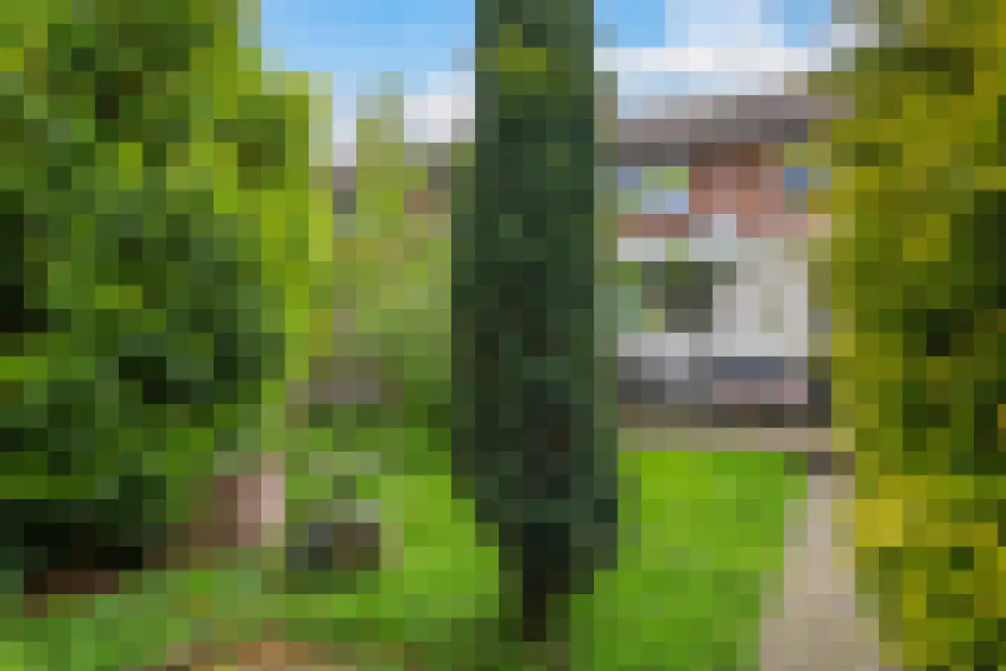 van Kleefplein 6 Huissen thumbnail 59