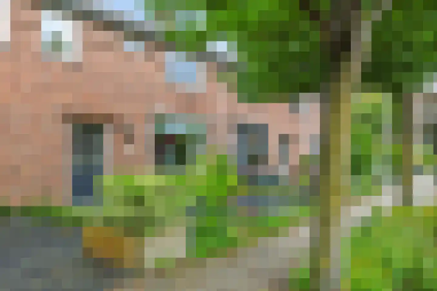 van Kleefplein 6 Huissen thumbnail 7