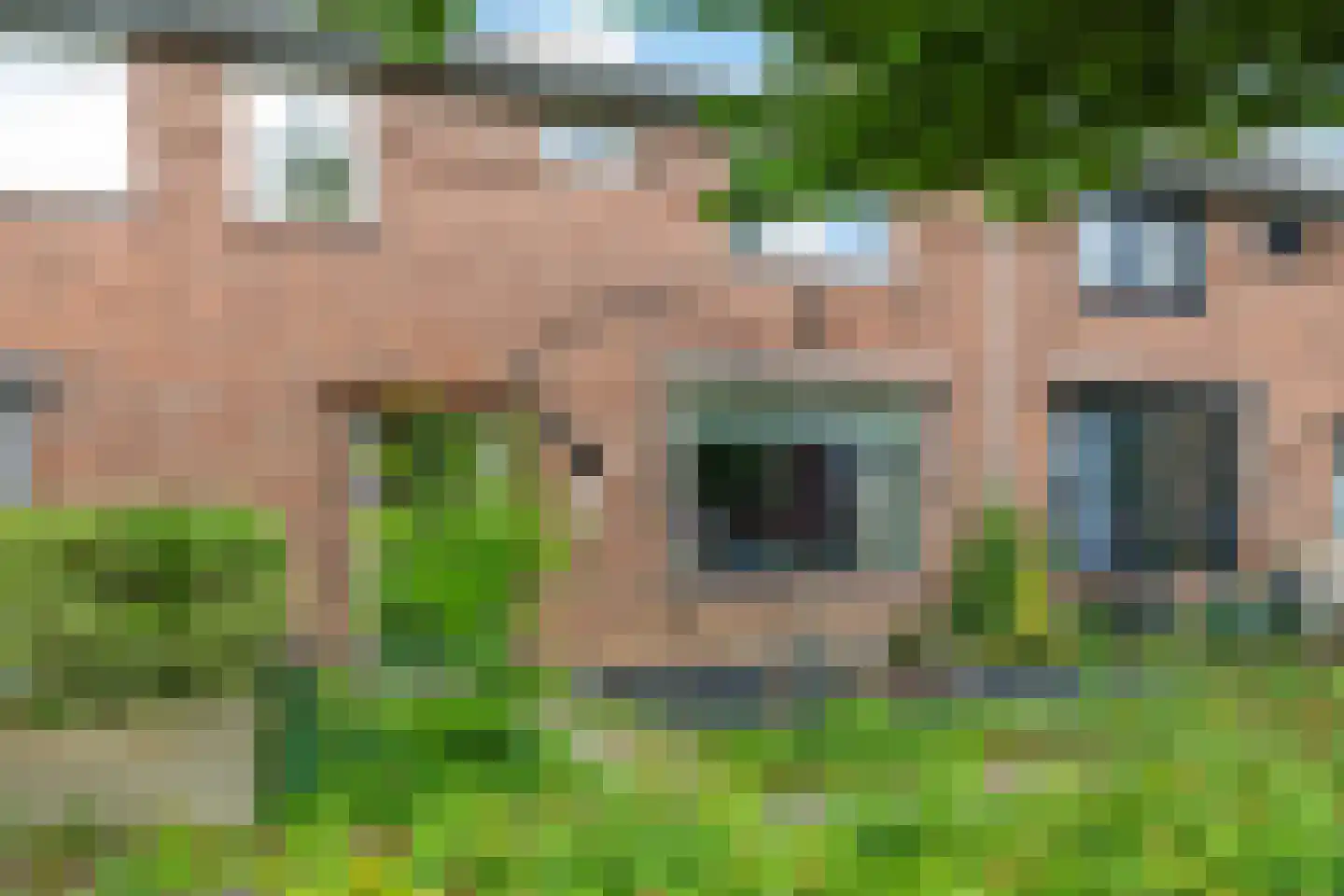 van Kleefplein 6 Huissen thumbnail 8