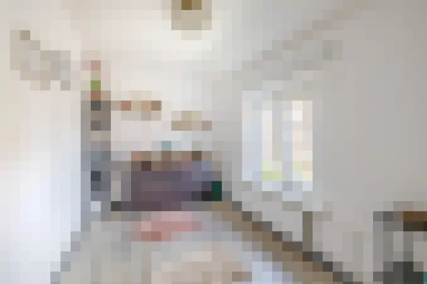 van Kleefstraat 10 Tegelen thumbnail 16
