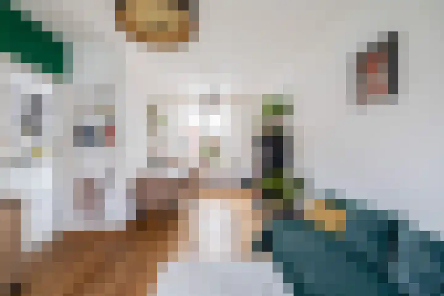 van Kleefstraat 10 Tegelen thumbnail 8