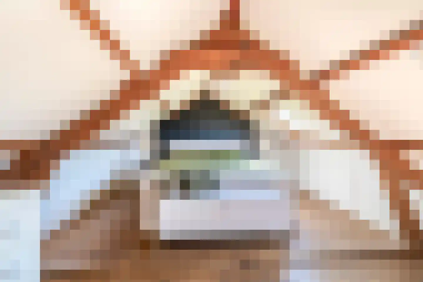 van Kleefstraat 26 Tegelen thumbnail 20