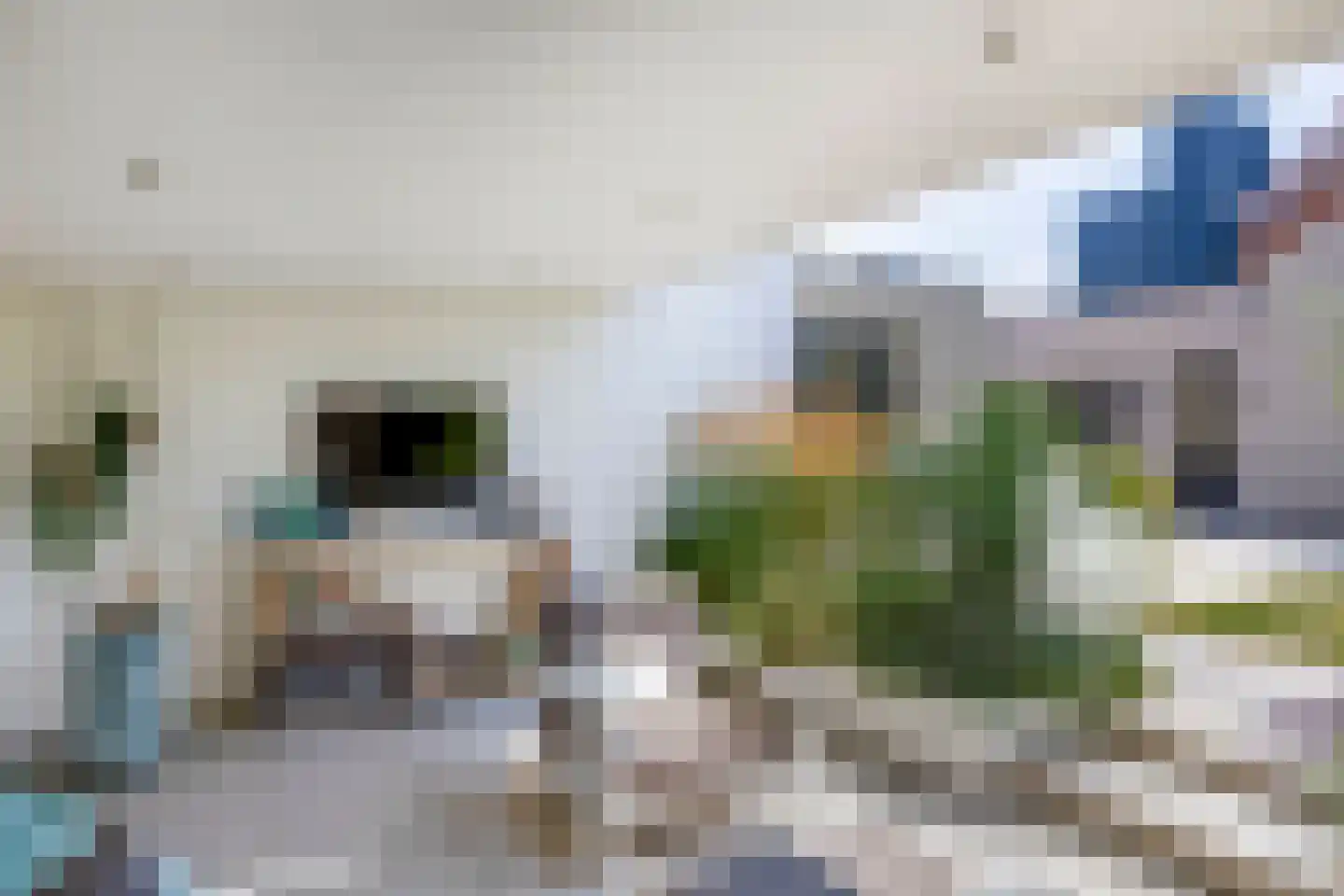 van Kleefstraat 26 Tegelen thumbnail 24