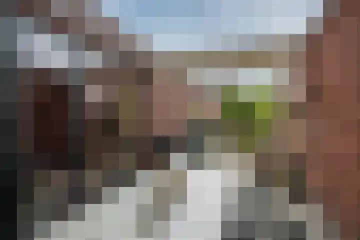 van Kleefstraat 28 Tegelen thumbnail 40