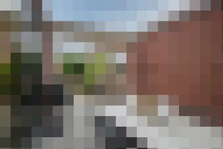 van Kleefstraat 28 Tegelen thumbnail 41