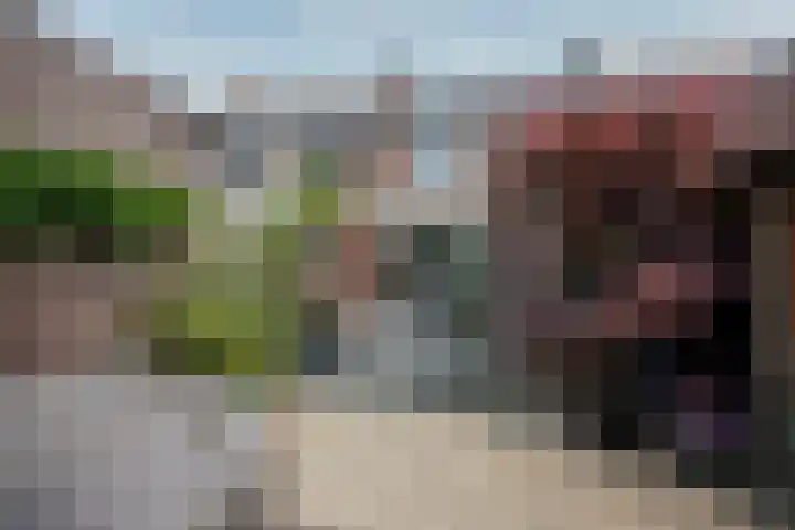 van Kleefstraat 28 Tegelen thumbnail 45
