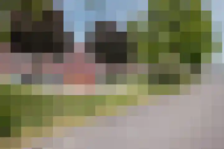 van Kleefstraat 28 Tegelen thumbnail 49