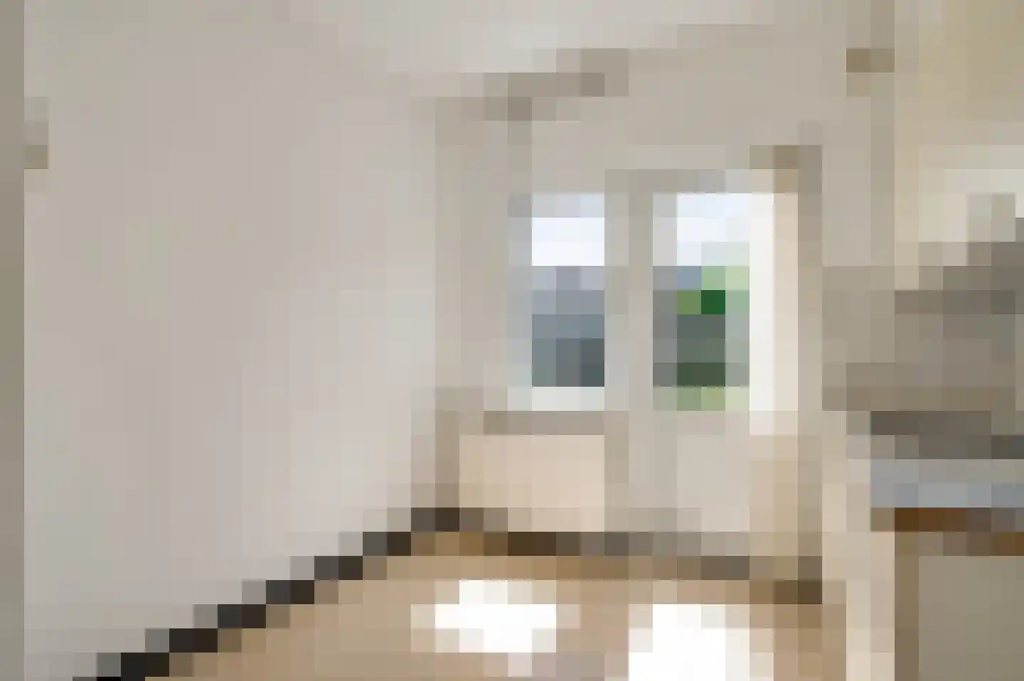 van Kleefstraat 4 Tegelen thumbnail 15