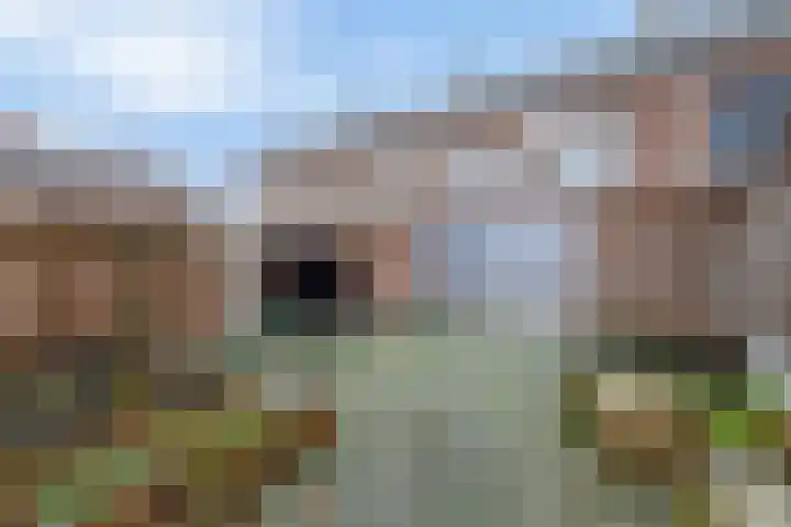 van Kleefstraat 5 Tegelen thumbnail 15