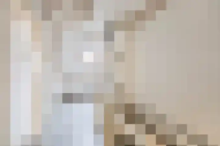 van Kleefstraat 5 Tegelen thumbnail 22