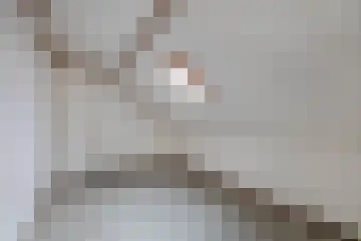 van Kleefstraat 5 Tegelen thumbnail 24