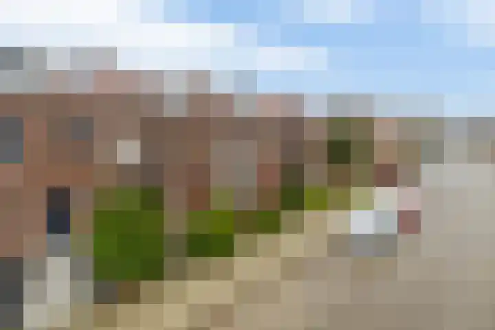 van Kleefstraat 5 Tegelen thumbnail 26