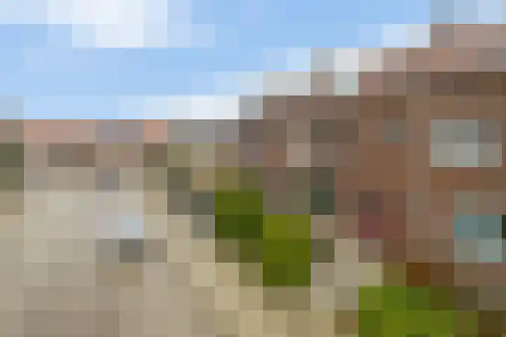 van Kleefstraat 5 Tegelen thumbnail 27