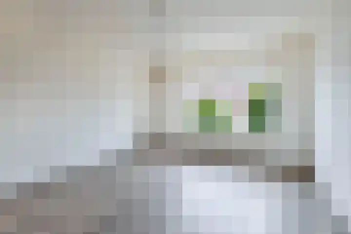 van Kleefstraat 5 Tegelen thumbnail 5