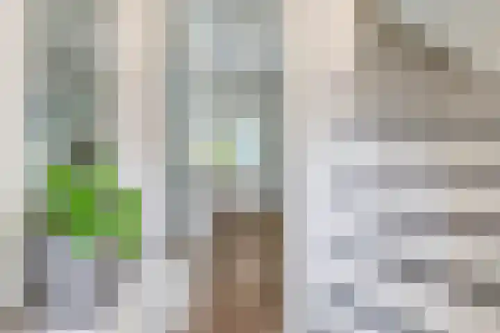 van Kleefstraat 8 Tegelen thumbnail 10