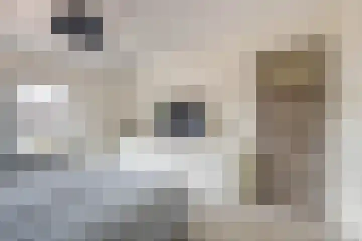 van Kleefstraat 8 Tegelen thumbnail 12