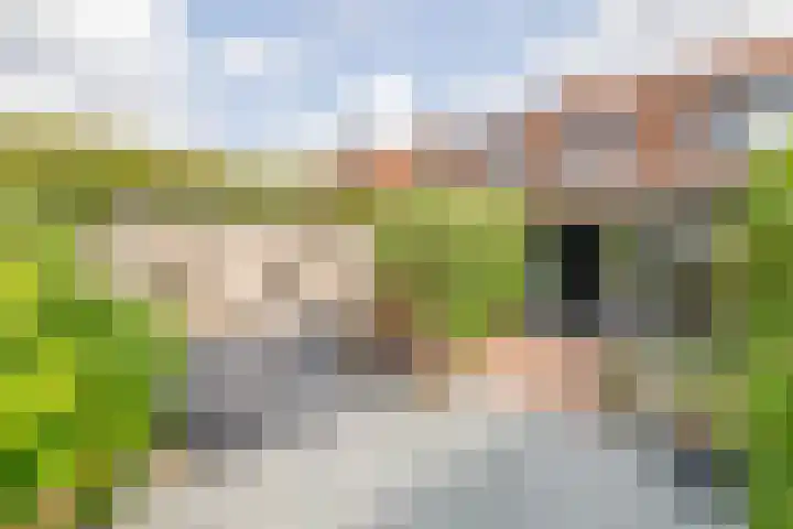 van Kleefstraat 8 Tegelen thumbnail 22