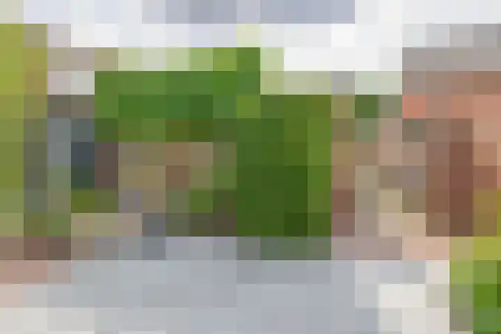 van Kleefstraat 8 Tegelen thumbnail 23